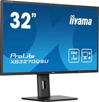Moniteur 31,5" IPS WQHD DP/HDMI Pivot