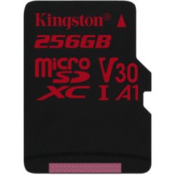 Carte Micro SDXC Canvas 256 Gb