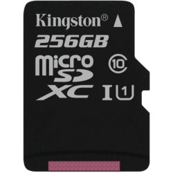Carte Micro SDXC Canvas Select 256 Gb 