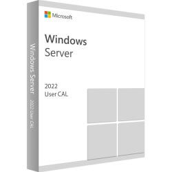 Windows Server CAL 2022 OEI 5 users