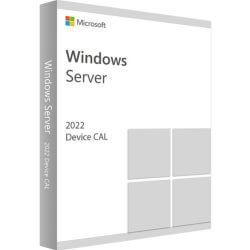Windows Server CAL 2022 OEI 1 device
