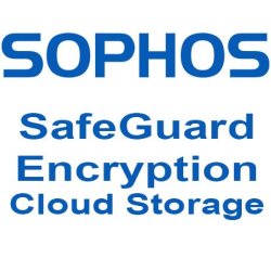 SafeGuard Encryption for Cloud Storage